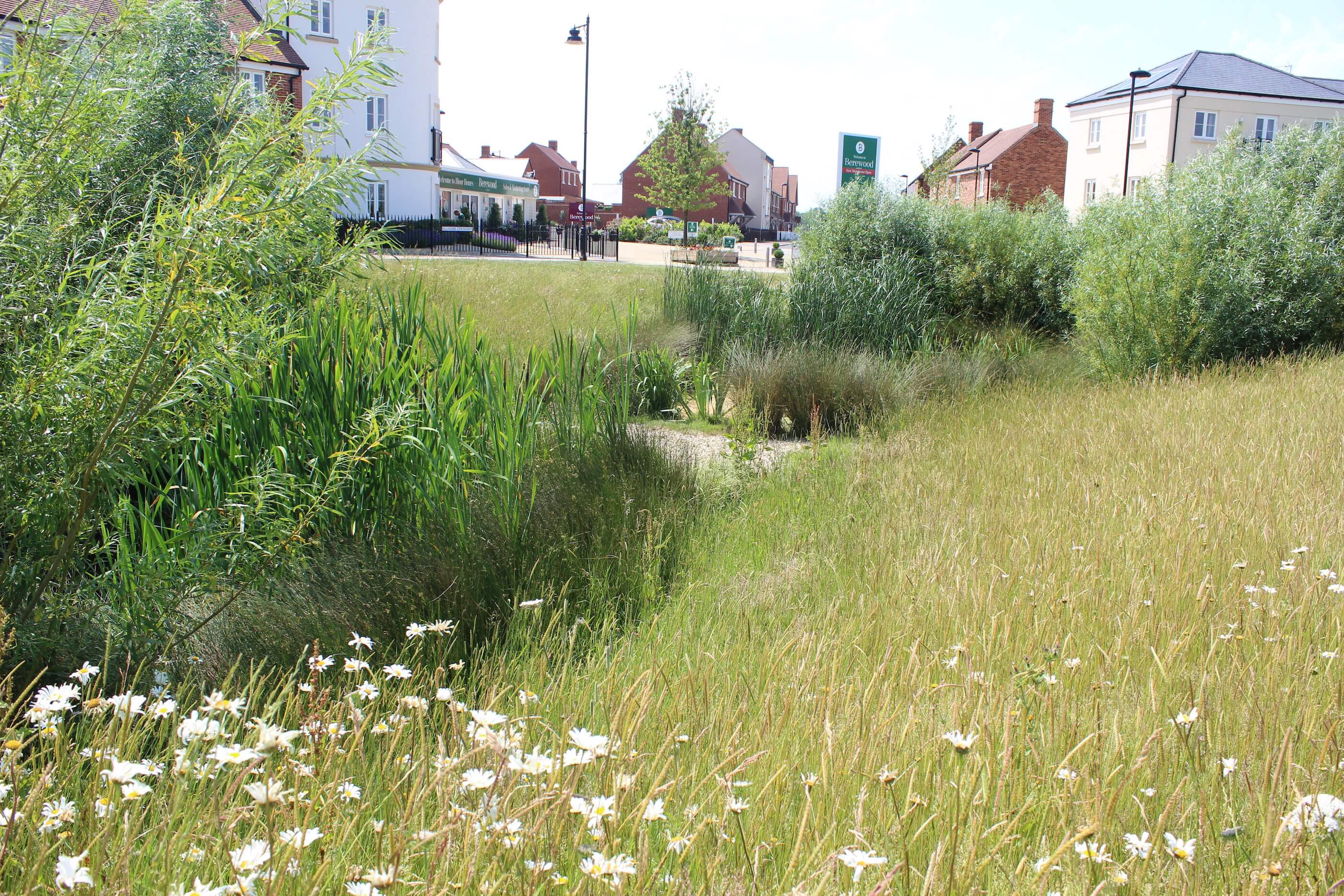 Waterlooville, Berewood Development