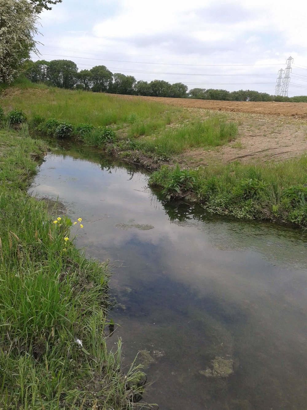 Engineering for ecology