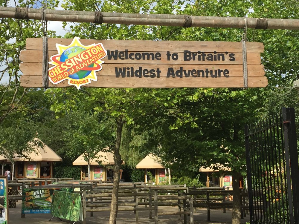 Mayer Brown Sports & Social Club outing to Chessington World of Adventures