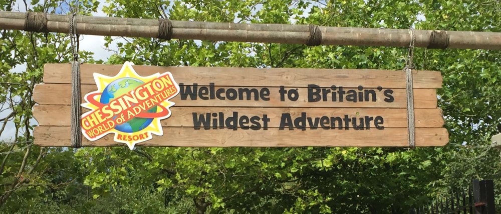 Mayer Brown Sports & Social Club outing to Chessington World of Adventures