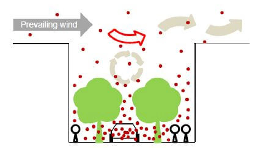 Prevailing wind diagram