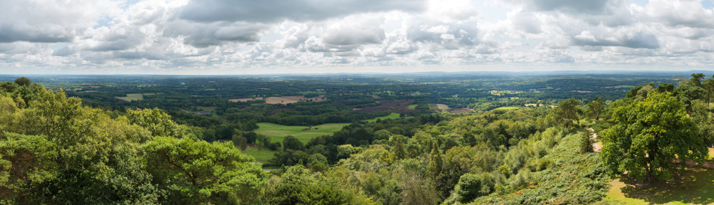 Surrey Wildlife Trust