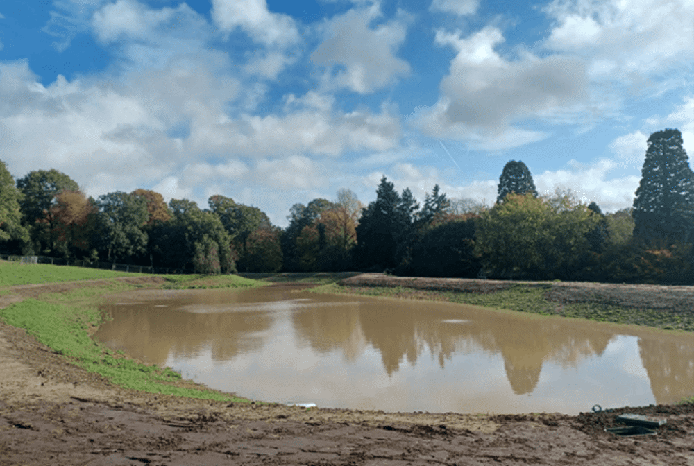 Clear Lake, Wisley | Mayer Brown Ltd