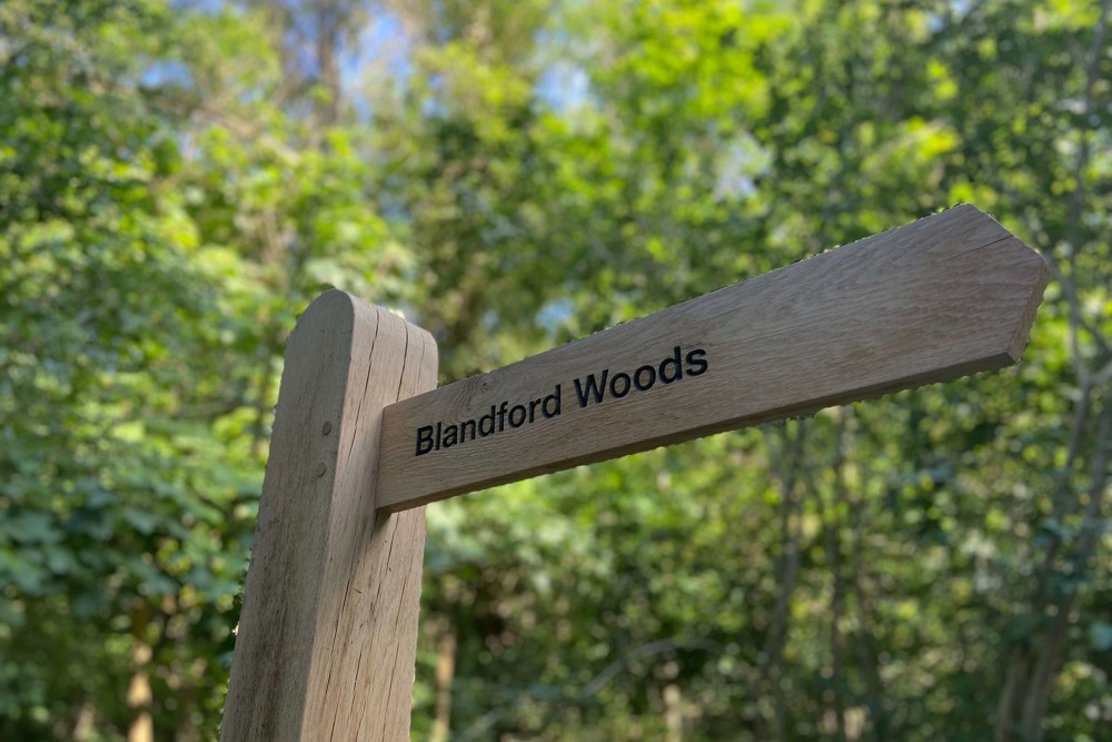 Blandford Woods SANG