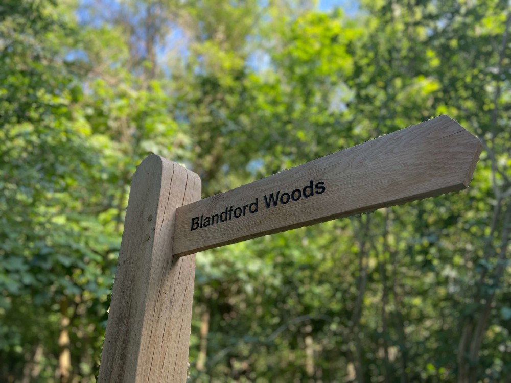 Blandford Woods SANG