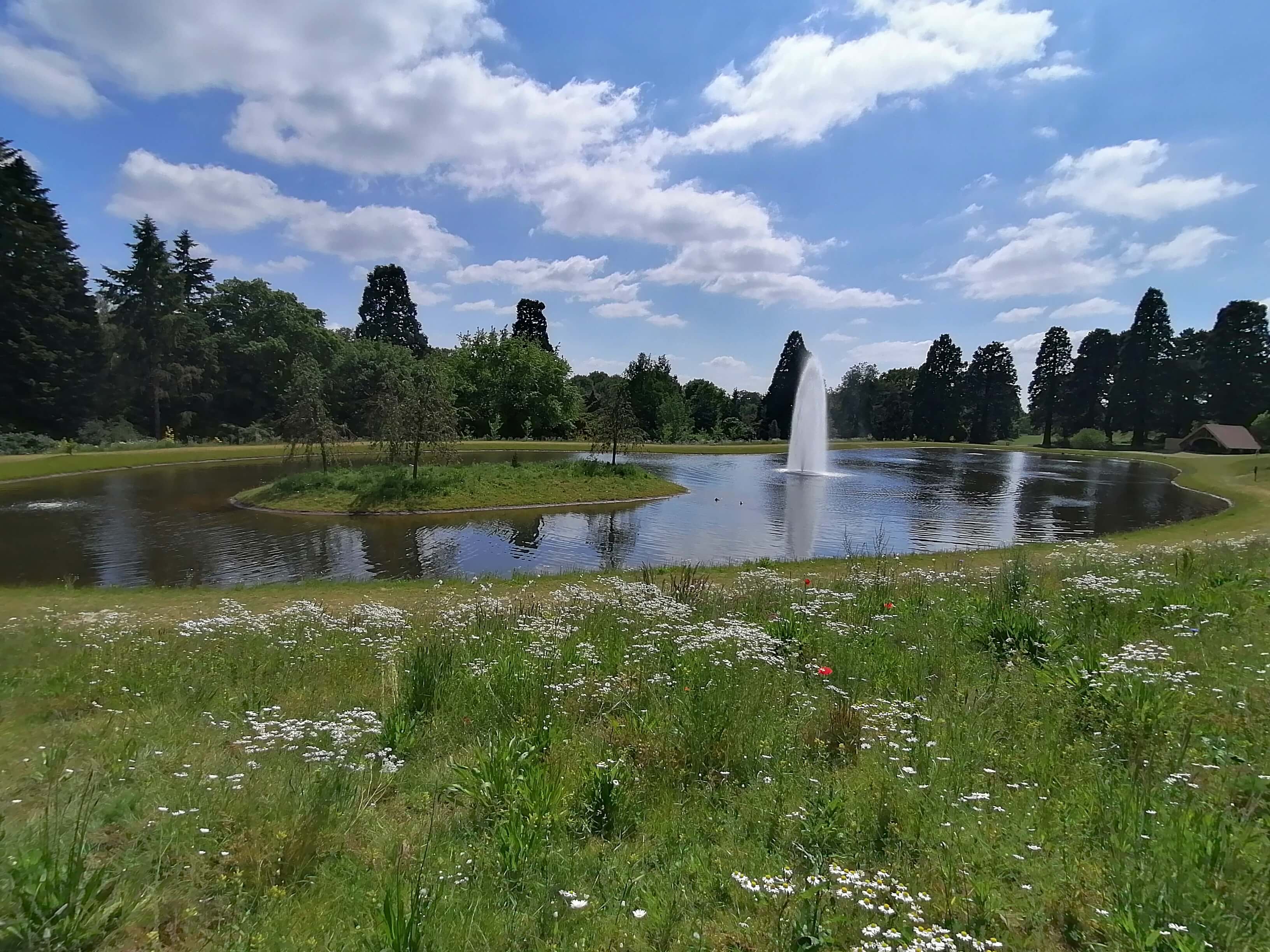 A few key points about Clear Lake are provided below: